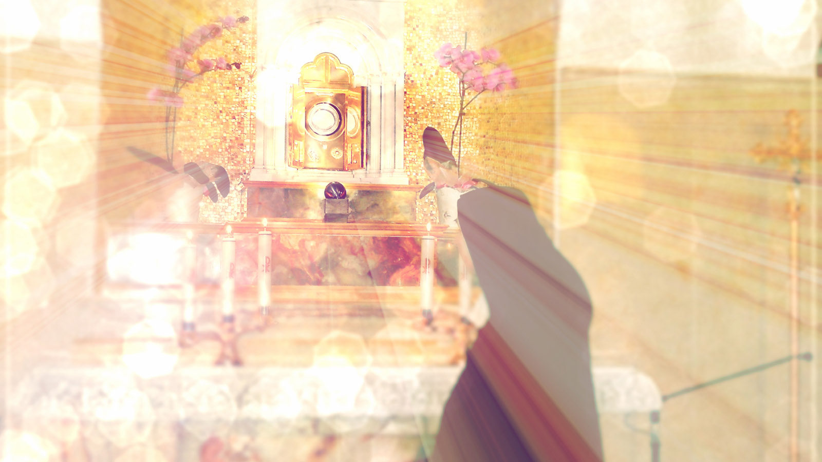 
              Benedettine Adorazione Perpetua            